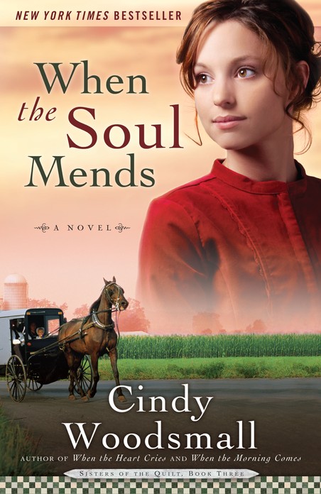 When The Soul Mends